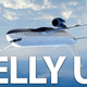 Illustration for article titled A Passenger Airplane Basically Flew Upside Down Because of a Dumb Pilot (Updated)